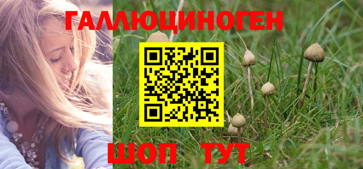 COCAIN  Выборг  Alpha PVP СОЛЬ   Вход с VPN  Гашиш  Меф МЯУ МЯУ кристаллы  МАРИХУАНА 