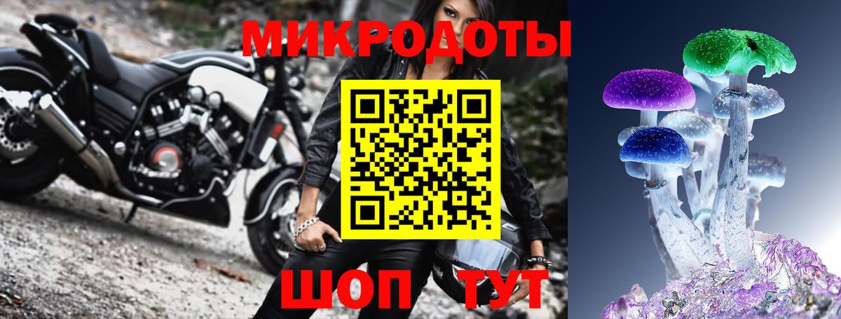 Галлюциногенные грибы прущие грибы Выборг